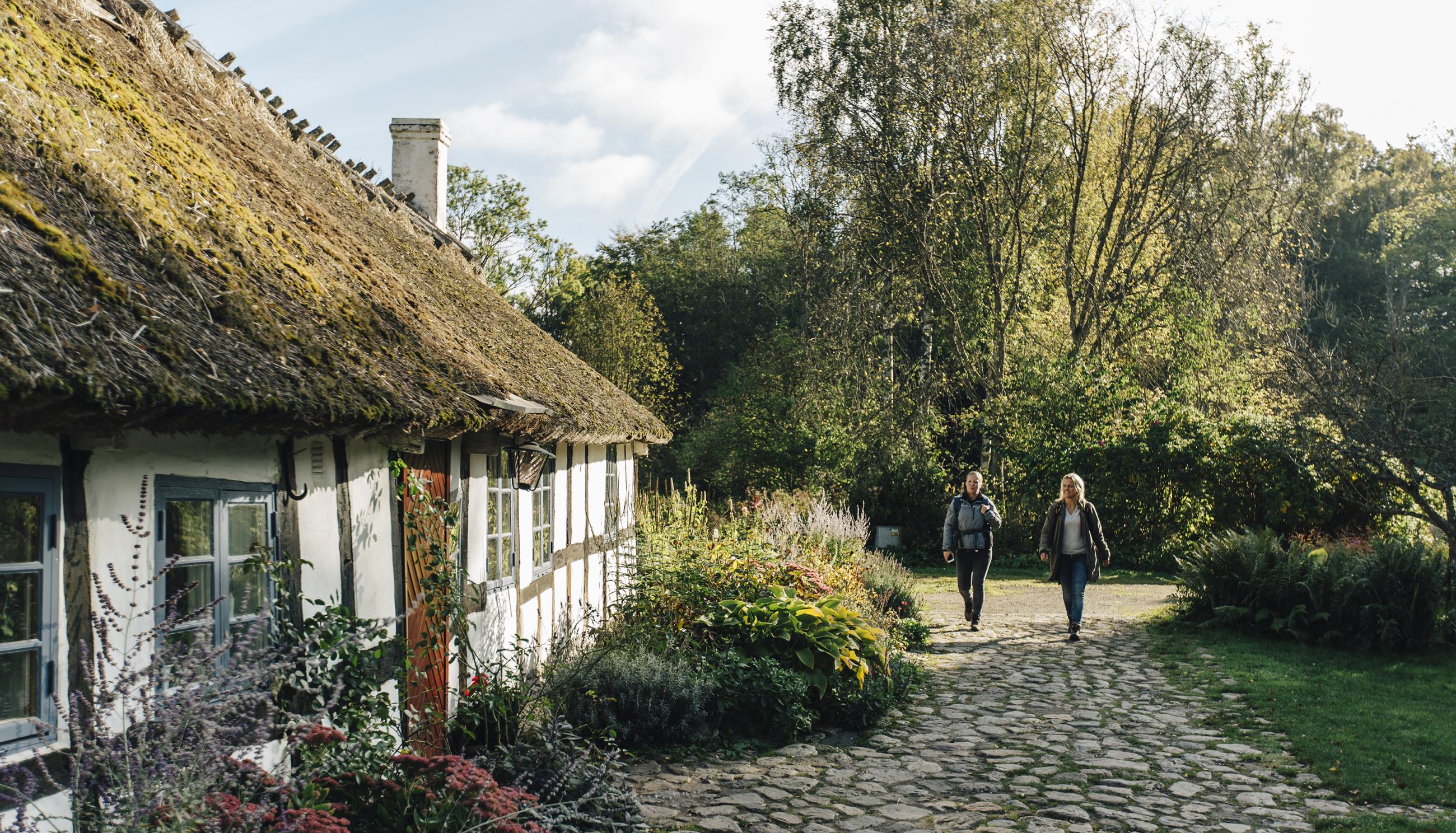 The Skåneleden Trail Hiking in Sweden